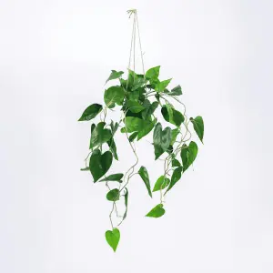 Blooming Artificial - 80cm / 2.5ft Faux Hanging Philodendron Scandens