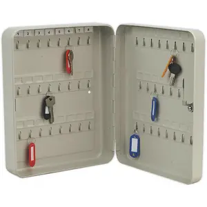 Wall Mounted Locking Mini Key Cabinet Safe - 45 Key Capacity - 240 x 300 x 80mm