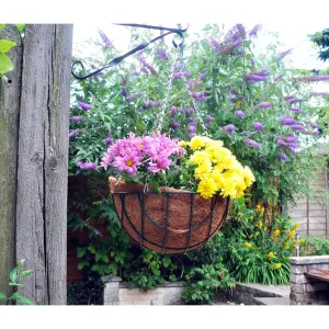 2 x Natural Coco Hanging Basket Liner Cupped Shaped Coco Liner for a 12 Inch Hanging Basket