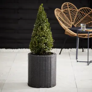 Verve IRAKLIA Grey Rattan effect Polyethylene (PE) Plant pot (Dia) 35cm, (H)40cm, 12L