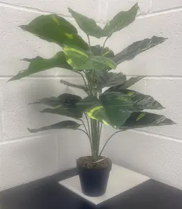 60cm Artificial Devil's Ivy (Scindapsus Aureus) Plant