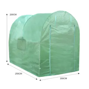 Polytunnel Greenhouse Walk In Galvanised Windows Doors Growhouse PE Cover Diameter 2 x 2.5m