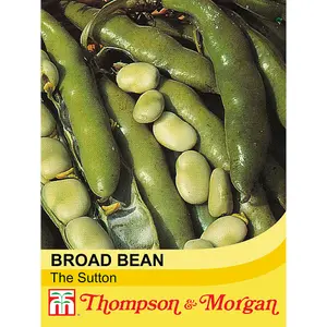 Bean (Broad) The Sutton 1 Seed Packet (45 Seeds)