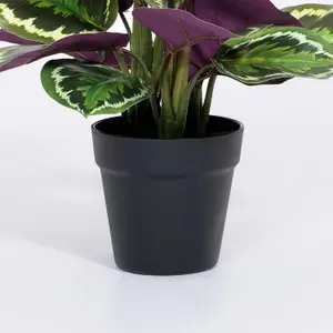 Blooming Artificial - 40cm / 1.25ft Fake Medallion Calathea