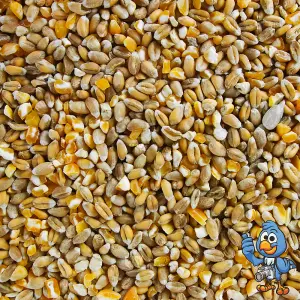 7.5kg BusyBeaks Mixed Poultry Corn - Premium Grade Food Feed For Chicken Geese Duck