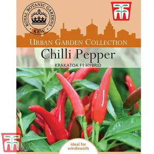 Chilli Pepper Krakatoa F1 Hybrid 1 Seed Packet (5 Seeds)