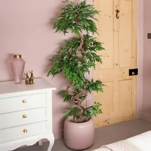 Blooming Artificial - 165cm / 5.5ft Faux Fruticosa Tree Fake Indoor House Plant