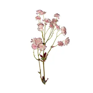 Bloom Artificial Single Pink Astrantia Flower Stem - Faux Fake Silk Flower Indoor Home Decoration Floral Arrangements - L60cm