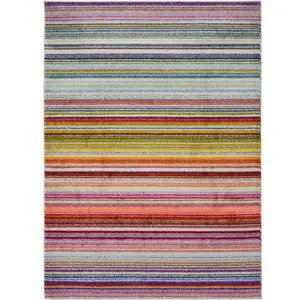 Villa Collection Striped Design Rug in Multicolour