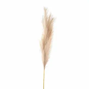 Bleached  Large Faux Pampas Grass Stem