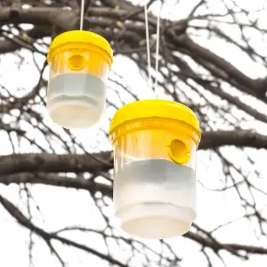 Set of Two Wasp Trap and Insect Traps - Wasp Catcher, Bee Trap, Yellow Jacket Traps