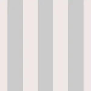 Pale Pink Metallic Silver Bold Lance Stripe Feature Stripes Wallpaper WD0080