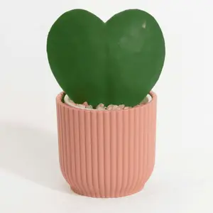 Blooming Artificial - 11cm / 0.25ft Pink Faux Hoya Heart Succulent