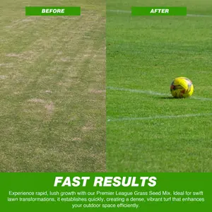 2.5KG GROUNDMASTER Pro Premier League Grass Mix Hard Wearing Lawn Sports Grass Seed