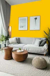 Leyland Trade Vinyl Soft Sheen Walls & Ceilings Emulsion Paint Colza Yellow (RAL 1021) - 5L