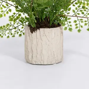 Blooming Artificial - 30cm / 1ft Fake Maidenhair Fern