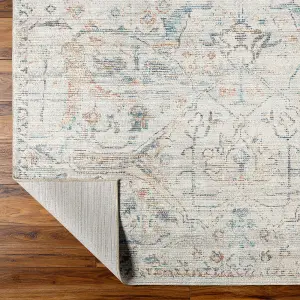 ARADHYA Becki Owens x Surya Oriental Vintage Area Rug 117 x 170 cm