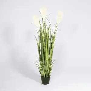 Blooming Artificial - 120cm / 4ft Green / Cream Artificial Pampas Grass