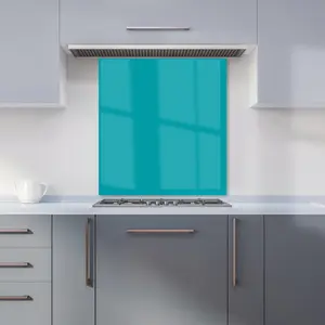 Persian Green Premium Glass Kitchen Splashback W600mm x H650mm