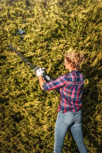 Q Garden 500W 56cm (22") Electric Hedge Trimmer