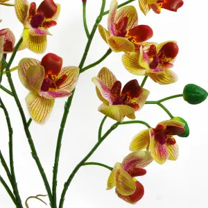 43cm Pink Yellow Artificial Orchid in Ceramic Planter