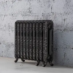 Arroll Daisy Cast iron Silver 10 Column Radiator, (W)684mm x (H)597mm