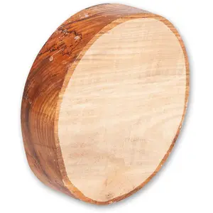 Elm Woodturning Bowl Blank 8" x 2"