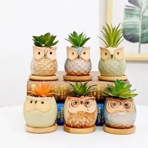 simpa 6PC Assorted Shaped Owl Ceramic Plant Pots with Bamboo Base