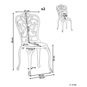 Set of 2 Garden Chairs TRIORA Metal White