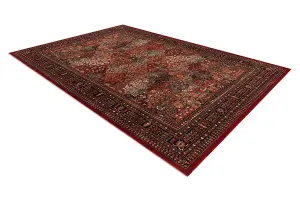 Wool carpet KASHQAI 4309 300 oriental, frame claret  67x275 cm