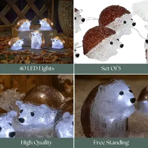 5pc LED String Lights - Hedgehogs