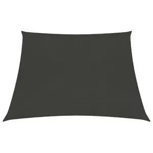 Berkfield Sunshade Sail 160 g/m2 Anthracite 3/4x2 m HDPE