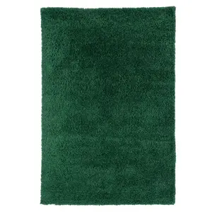 Super Soft Emerald Green Shaggy Area Rug 80x150cm