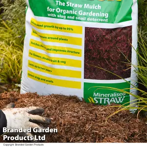 Strulch Mineralised Straw Garden Mulch - 100 Litre Bag x 1 - Natural Slug & Snail Deterrent