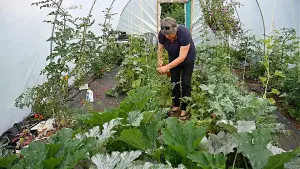 14ft x 12ft Straight Sided Polytunnel Kit, Heavy Duty Professional Greenhouse