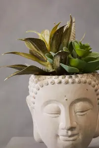 Fiori Buddha Pot Mixed Succulent Artificial Plant Foliage