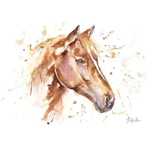 Jennifer Rose Glorious Horse Framed Canvas Print Brown/White (30cm x 40cm)