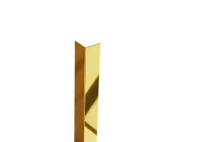 ILCOM decorative profile L 10mm x 2700mm x 0.6mm Gold Polished Stainless Steel