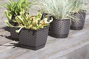 Plant Pot Flowerpot Wave Plastic Crystal Modern Decorative Small Medium Large Dark Brown Square 2.5 Litres