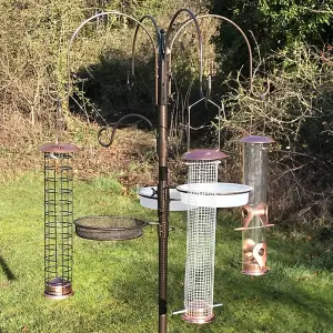 Deluxe Bird Feeder Station With Four Feeders And Squirrel Baffle