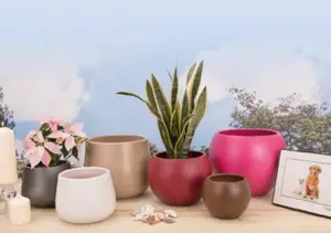 Epoxi Round Beige Semi Gloss Indoor Plant Pot 16cm