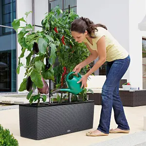 LECHUZA TRIO Cottage 40 Granite Self-watering Planter Plant Pot with Water Level Indicator H44 L130 W42 cm, 3x31L