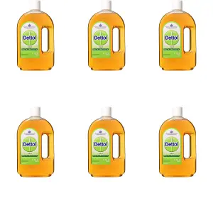 Dettol Antiseptic Disinfectant Liquid 750ml (Pack of 6)