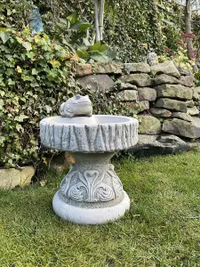 Rustic Garden Birdbath with Frog atop