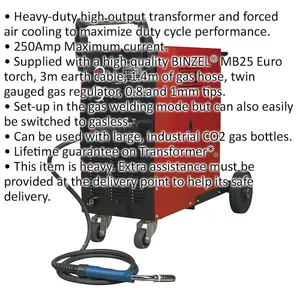 250A Gas / No-Gas MIG Welder with Euro Torch - 3m Earth Cable - 230V Supply