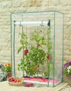 Grow It Tomato Grow Bag Standard with Clear Plastic Cover