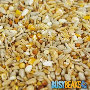 25kg BusyBeaks No Mess Seed Mix - Wild Bird Feed Premium Quality Garden Food