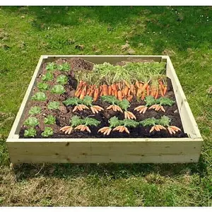 Wooden Raised Veg Beds Pack of 2 - 1m x 1m