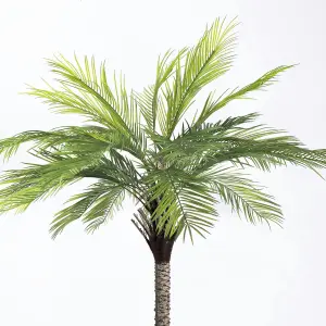 Blooming Artificial - 240cm / 7.75ft Faux King Palm Tree