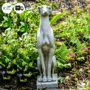 Single Whippet Dog Garden Statue